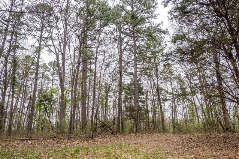 0 Miller Switch Road, Ste Genevieve, Missouri 63670, 3 Bedrooms Bedrooms, 6 Rooms Rooms,2 BathroomsBathrooms,Farm,For Sale,Miller Switch,MAR25026918