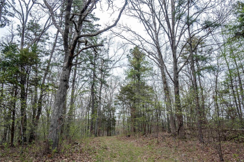 0 Miller Switch Road, Ste Genevieve, Missouri 63670, 3 Bedrooms Bedrooms, 6 Rooms Rooms,2 BathroomsBathrooms,Farm,For Sale,Miller Switch,MAR25026918