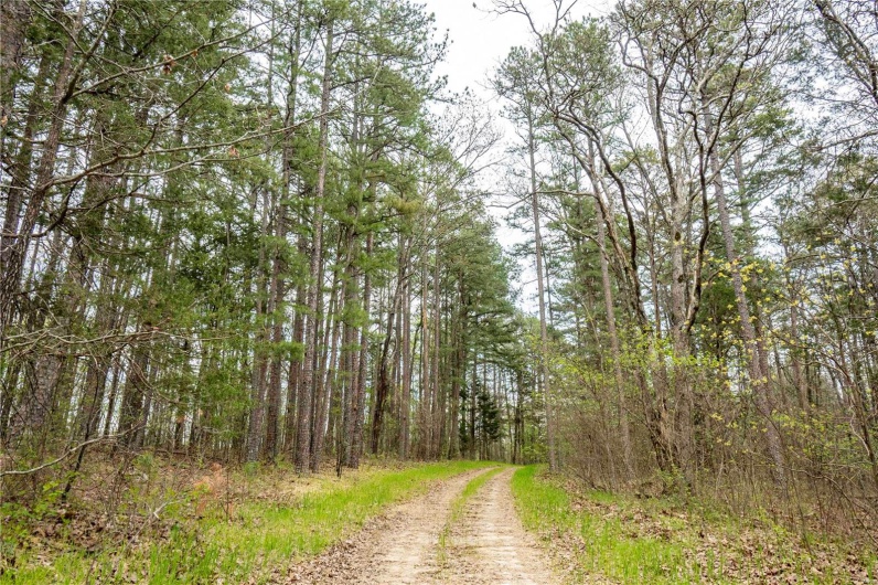 0 Miller Switch Road, Ste Genevieve, Missouri 63670, 3 Bedrooms Bedrooms, 6 Rooms Rooms,2 BathroomsBathrooms,Farm,For Sale,Miller Switch,MAR25026918