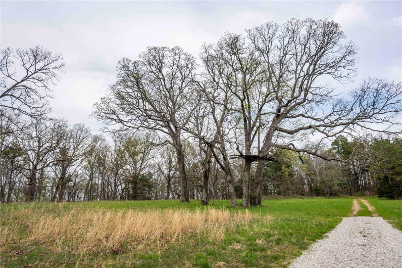 0 Miller Switch Road, Ste Genevieve, Missouri 63670, 3 Bedrooms Bedrooms, 6 Rooms Rooms,2 BathroomsBathrooms,Farm,For Sale,Miller Switch,MAR25026918