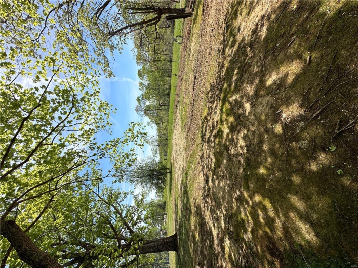 215 Rhine RD, Poplar Bluff, Missouri 63901, 4 Bedrooms Bedrooms, 8 Rooms Rooms,2 BathroomsBathrooms,Farm,For Sale,Rhine RD,MAR25027003