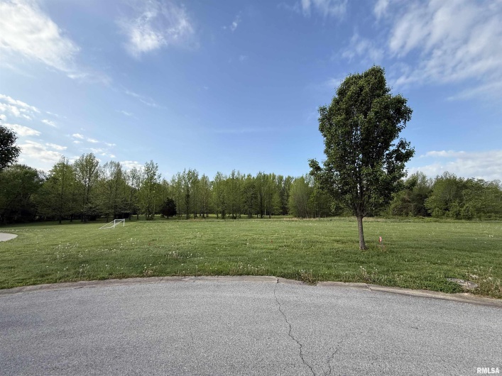 000 Eugene Lane, Marion, Illinois 62959, 0 , 0 ,0,Land,For Sale,Eugene,0,RMAEB457666