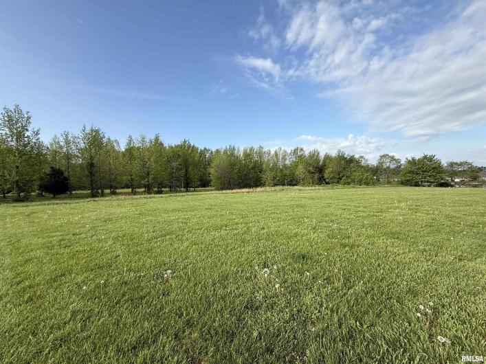 000 Eugene Lane, Marion, Illinois 62959, 0 , 0 ,0,Land,For Sale,Eugene,0,RMAEB457666