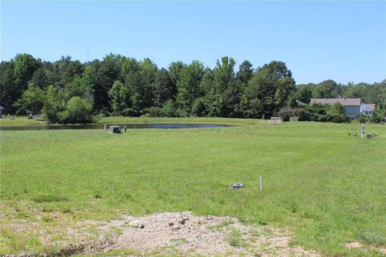 319 Pintail Lane, Poplar Bluff, Missouri 63901, ,Land,For Sale,Pintail Lane,MAR25027043