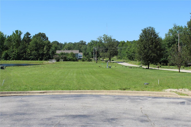 319 Pintail Lane, Poplar Bluff, Missouri 63901, ,Land,For Sale,Pintail Lane,MAR25027043
