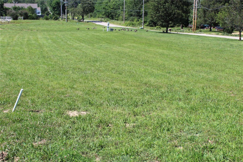 319 Pintail Lane, Poplar Bluff, Missouri 63901, ,Land,For Sale,Pintail Lane,MAR25027043