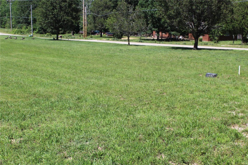 319 Pintail Lane, Poplar Bluff, Missouri 63901, ,Land,For Sale,Pintail Lane,MAR25027043