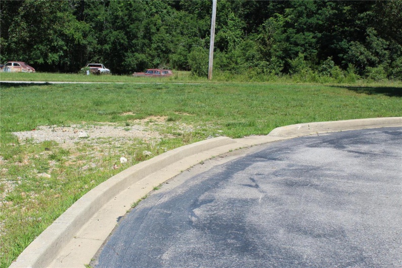 319 Pintail Lane, Poplar Bluff, Missouri 63901, ,Land,For Sale,Pintail Lane,MAR25027043