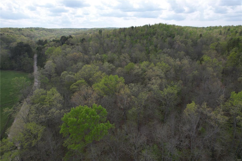 Drone / aerial view with a wooded view