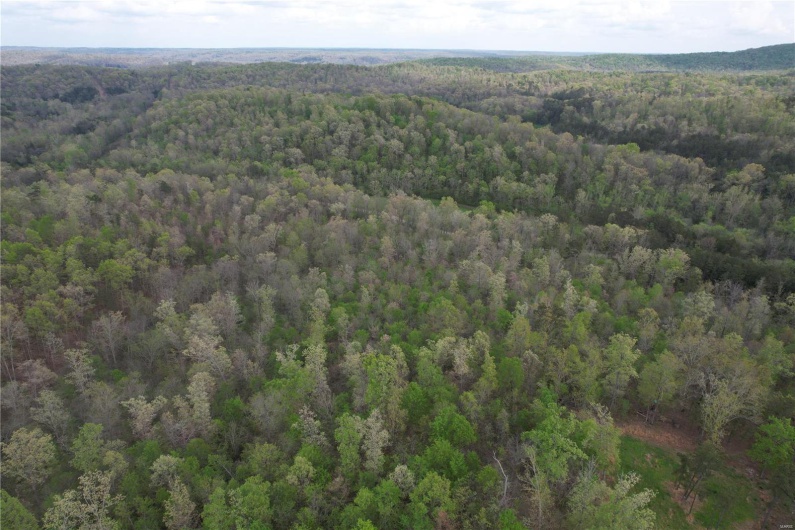 Birds eye view of property featuring a wooded view