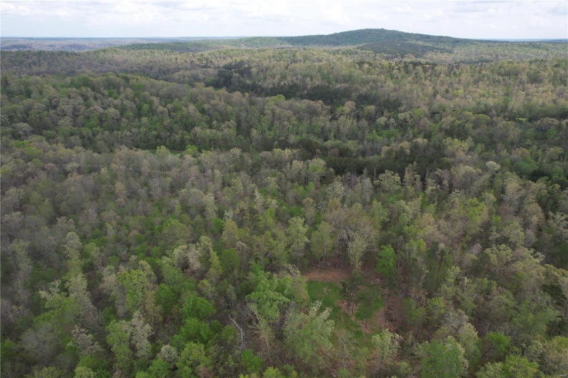 Bird's eye view featuring a wooded view and a mountain view