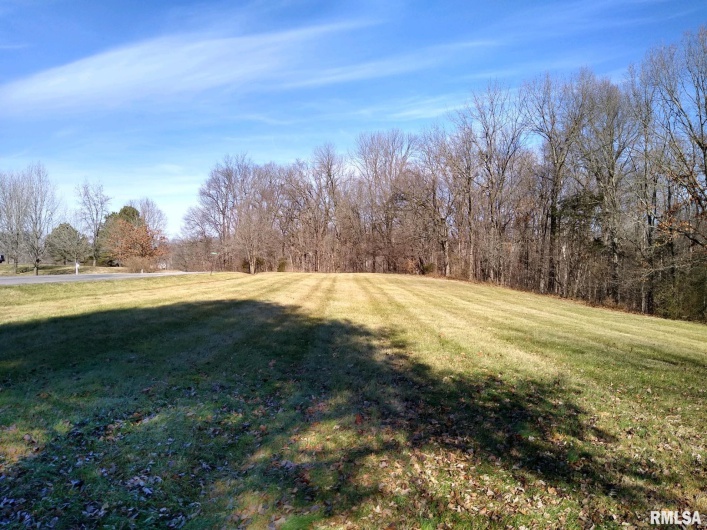 400 WALKER Drive, Vienna, Illinois 62995, 0 , 0 ,0,Land,For Sale,WALKER,0,RMAEB457670