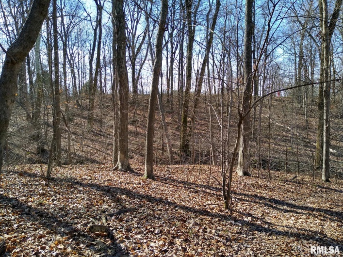 400 WALKER Drive, Vienna, Illinois 62995, 0 , 0 ,0,Land,For Sale,WALKER,0,RMAEB457670