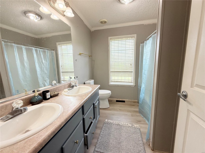 Full bathroom featuring wood finished floors, a textured ceiling, toilet, and a sink