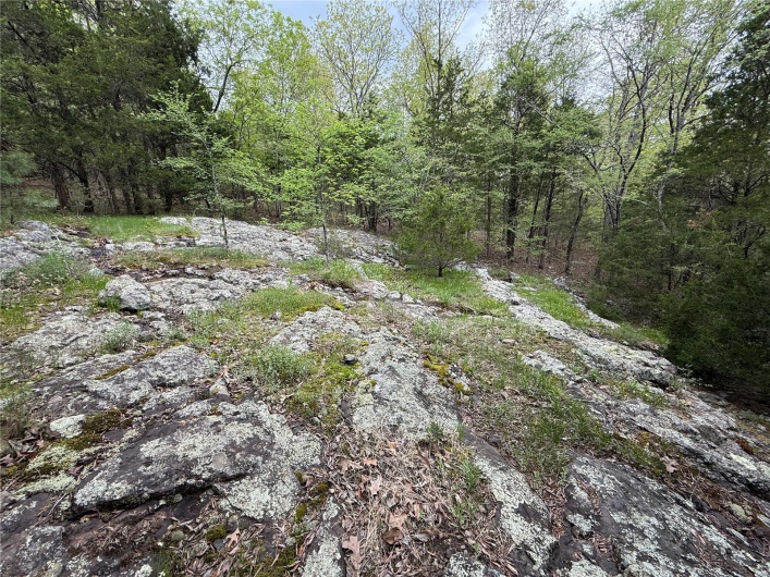 View of landscape with a view of trees
