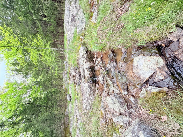 View of landscape with a view of trees