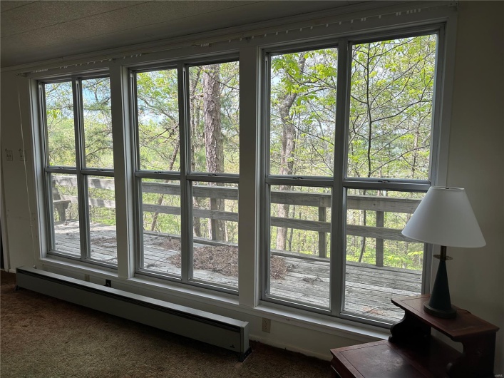 182 Ozark Drive, Ironton, Missouri 63650, 1 Bedroom Bedrooms, 4 Rooms Rooms,1 BathroomBathrooms,Residential,For Sale,Ozark,MAR25027241