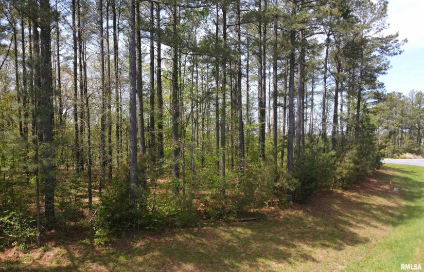 558 Stony Point Road, Goreville, Illinois 62939, 0 , 0 ,0,Land,For Sale,Stony Point,0,RMAEB457686