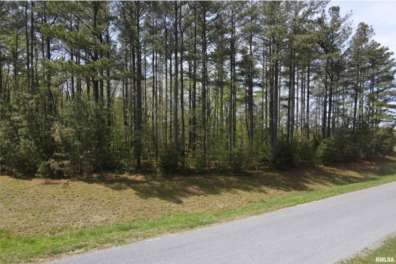 558 Stony Point Road, Goreville, Illinois 62939, 0 , 0 ,0,Land,For Sale,Stony Point,0,RMAEB457686