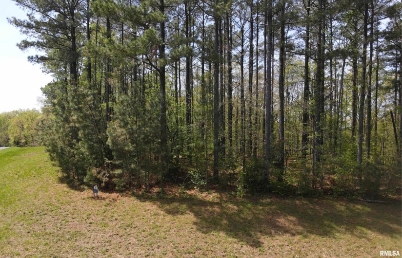 558 Stony Point Road, Goreville, Illinois 62939, 0 , 0 ,0,Land,For Sale,Stony Point,0,RMAEB457686