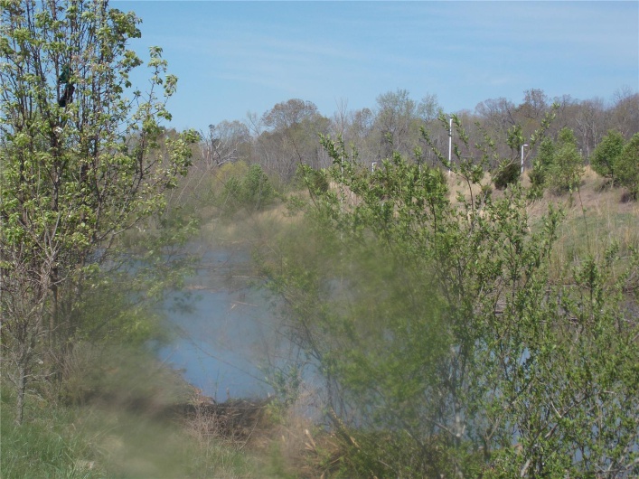 View of water feature featuring a wooded view
