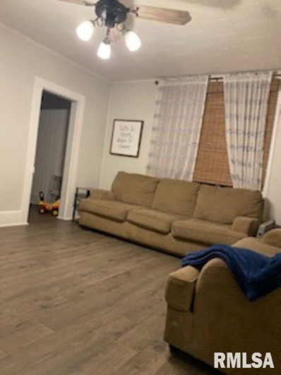 501 BROAD Street, Jonesboro, Illinois 62952, 3 Bedrooms Bedrooms, 0 ,1 BathroomBathrooms,Residential,For Sale,BROAD,0,RMAQC4262702