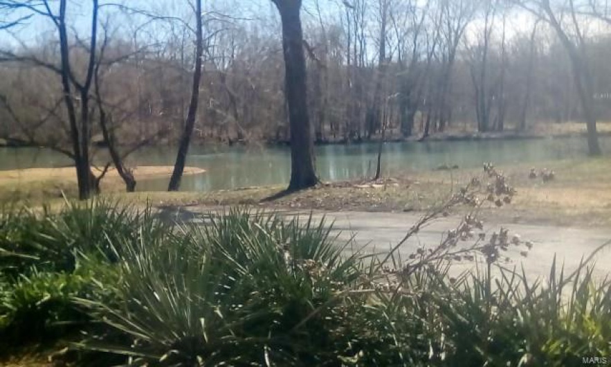 0 Co. Rd. 459, Piedmont, Missouri 63957, ,Land,For Sale,Co. Rd. 459,MAR25027649