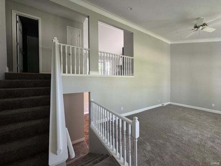 Staircase with carpet flooring, baseboards, ornamental molding, and ceiling fan