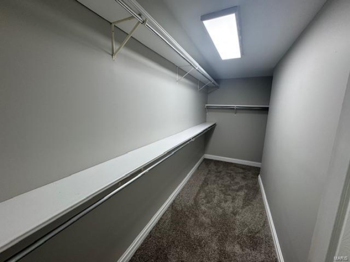 Walk in closet featuring carpet