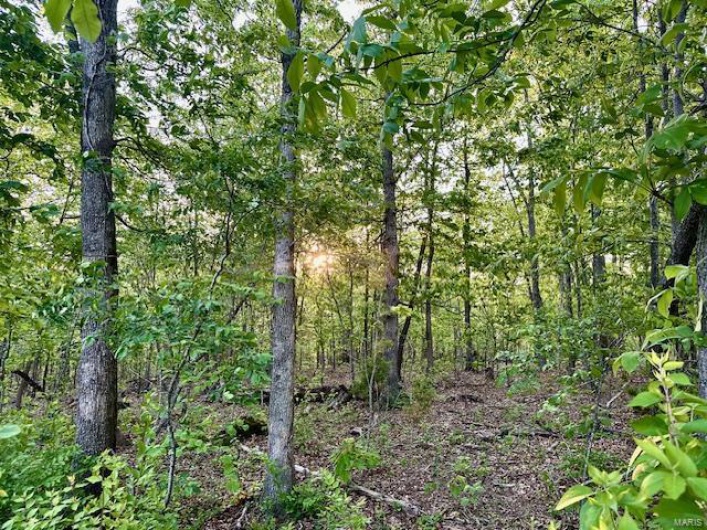 View of landscape featuring a wooded view