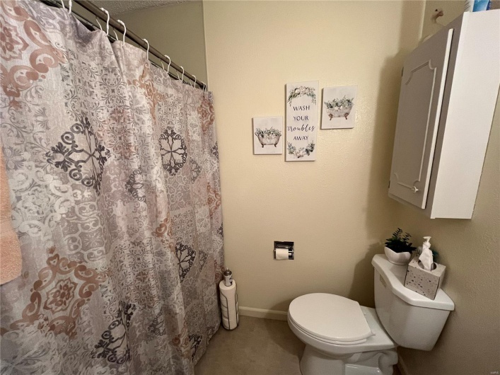 215 Lee St, Fredericktown, Missouri 63645, 3 Bedrooms Bedrooms, 14 Rooms Rooms,2 BathroomsBathrooms,Residential,For Sale,Lee St,MAR25027861