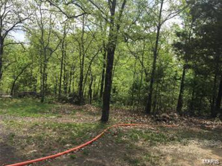 1002 Hidden Valley Lake, Annapolis, Missouri 63620, ,Farm,For Sale,Hidden Valley Lake,MAR25027696