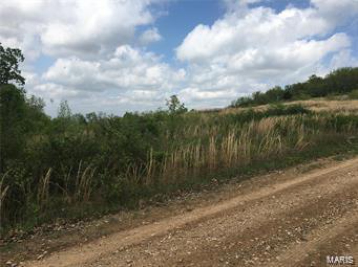 1002 Hidden Valley Lake, Annapolis, Missouri 63620, ,Farm,For Sale,Hidden Valley Lake,MAR25027696