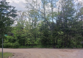 0 Charmaine Court, Bonne Terre, Missouri 63628, ,Land,For Sale,Charmaine,MAR25028036