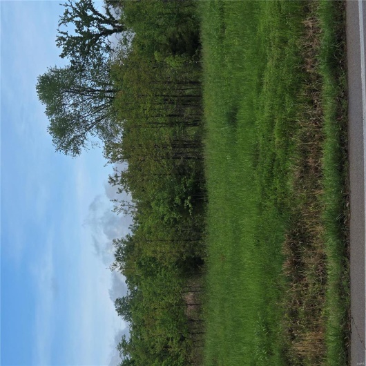 0 State Route Dd, Festus, Missouri 63028, ,Land,For Sale,State Route Dd,MAR25027340