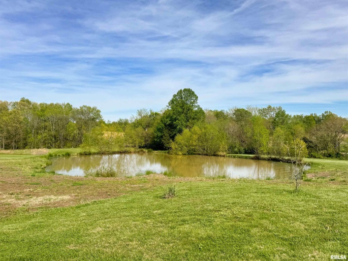 110 COX Lane, Dongola, Illinois 62926, 4 Bedrooms Bedrooms, 0 ,2 BathroomsBathrooms,Residential,For Sale,COX,0,RMAEB457717