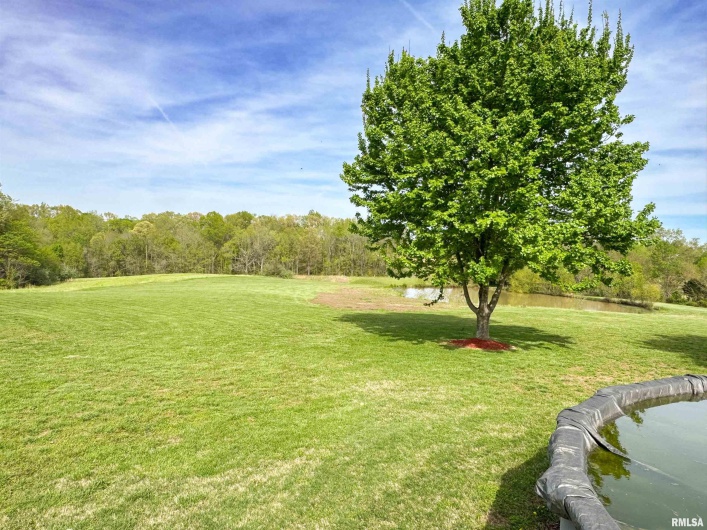 110 COX Lane, Dongola, Illinois 62926, 4 Bedrooms Bedrooms, 0 ,2 BathroomsBathrooms,Residential,For Sale,COX,0,RMAEB457717
