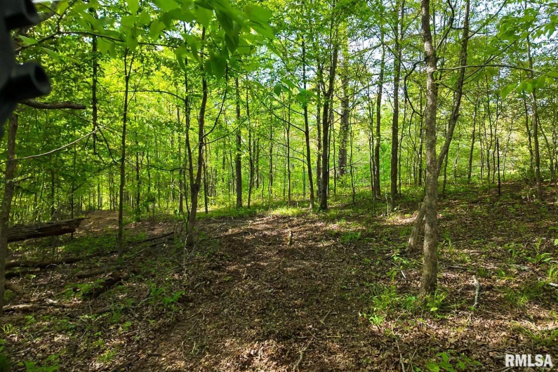 705 Webb Town Road, Tunnel Hill, Illinois 62972, 0 , 0 ,0,Land,For Sale,Webb Town,0,RMAEB457720