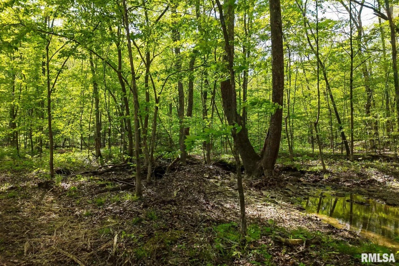 705 Webb Town Road, Tunnel Hill, Illinois 62972, 0 , 0 ,0,Land,For Sale,Webb Town,0,RMAEB457720
