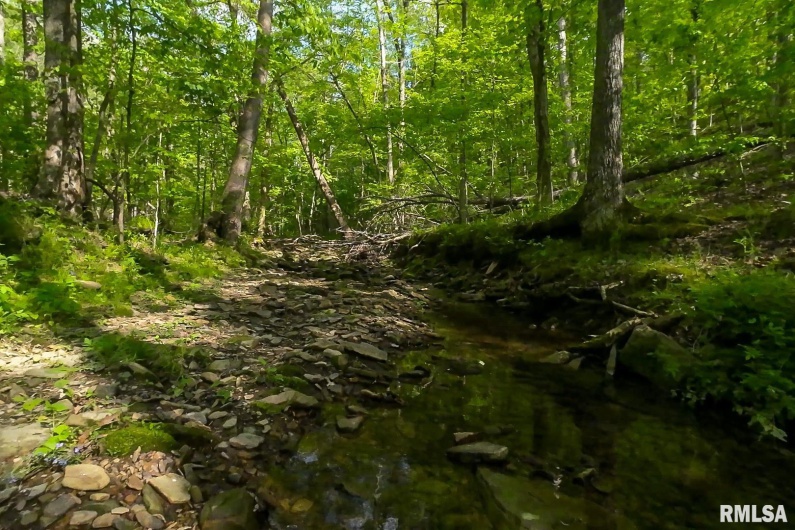 705 Webb Town Road, Tunnel Hill, Illinois 62972, 0 , 0 ,0,Land,For Sale,Webb Town,0,RMAEB457720