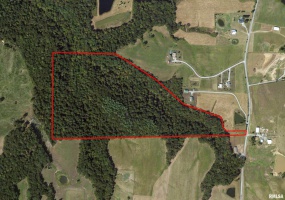 705 Webb Town Road, Tunnel Hill, Illinois 62972, 0 , 0 ,0,Land,For Sale,Webb Town,0,RMAEB457720