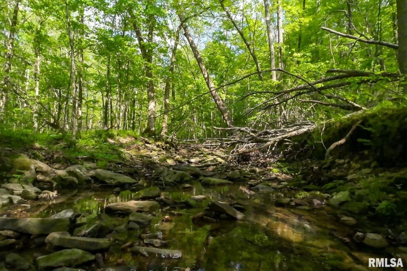 705 Webb Town Road, Tunnel Hill, Illinois 62972, 0 , 0 ,0,Land,For Sale,Webb Town,0,RMAEB457720
