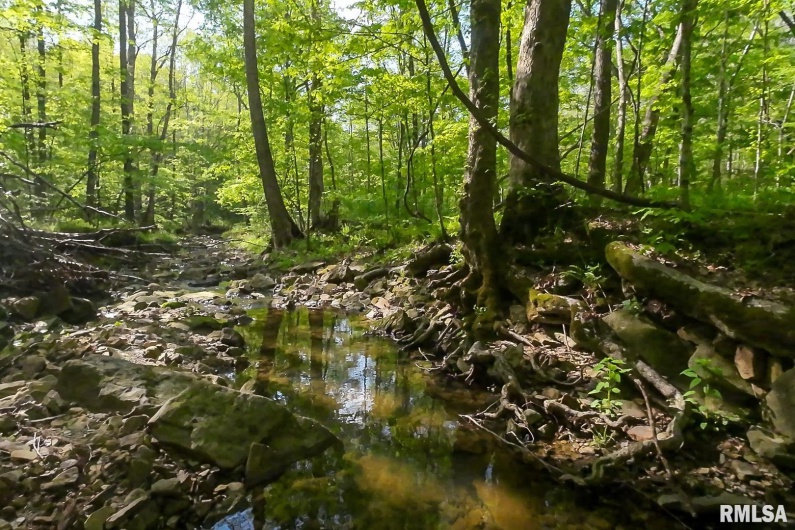705 Webb Town Road, Tunnel Hill, Illinois 62972, 0 , 0 ,0,Land,For Sale,Webb Town,0,RMAEB457720