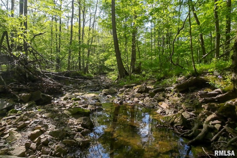705 Webb Town Road, Tunnel Hill, Illinois 62972, 0 , 0 ,0,Land,For Sale,Webb Town,0,RMAEB457720