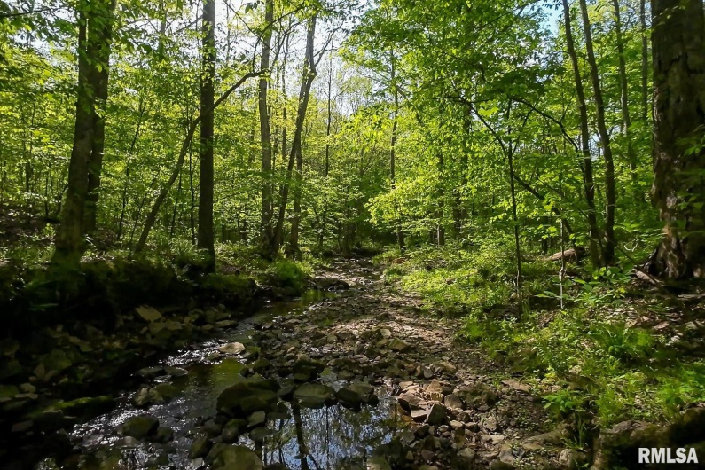 705 Webb Town Road, Tunnel Hill, Illinois 62972, 0 , 0 ,0,Land,For Sale,Webb Town,0,RMAEB457720