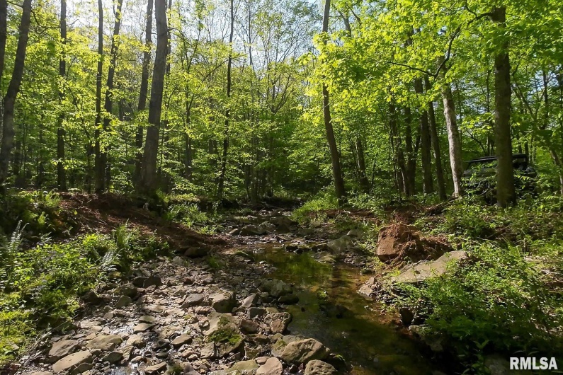705 Webb Town Road, Tunnel Hill, Illinois 62972, 0 , 0 ,0,Land,For Sale,Webb Town,0,RMAEB457720