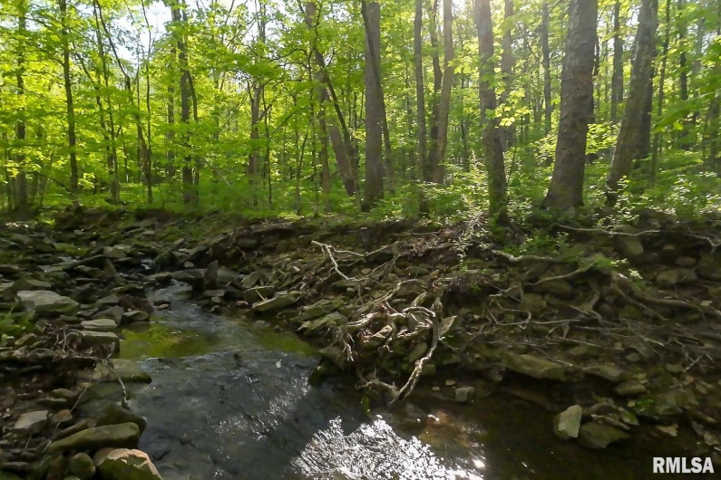 705 Webb Town Road, Tunnel Hill, Illinois 62972, 0 , 0 ,0,Land,For Sale,Webb Town,0,RMAEB457720