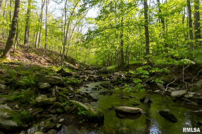 705 Webb Town Road, Tunnel Hill, Illinois 62972, 0 , 0 ,0,Land,For Sale,Webb Town,0,RMAEB457720