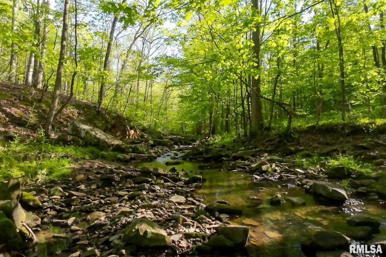705 Webb Town Road, Tunnel Hill, Illinois 62972, 0 , 0 ,0,Land,For Sale,Webb Town,0,RMAEB457720