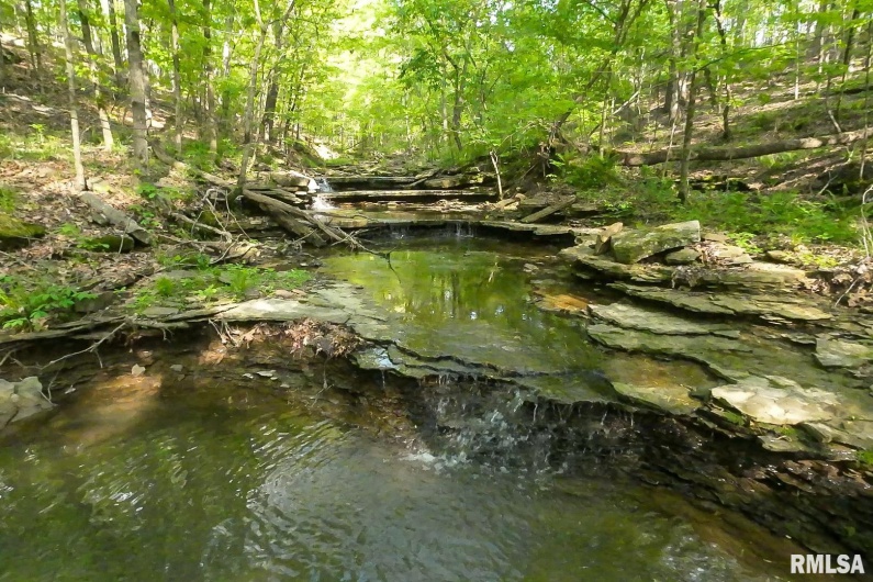 705 Webb Town Road, Tunnel Hill, Illinois 62972, 0 , 0 ,0,Land,For Sale,Webb Town,0,RMAEB457720